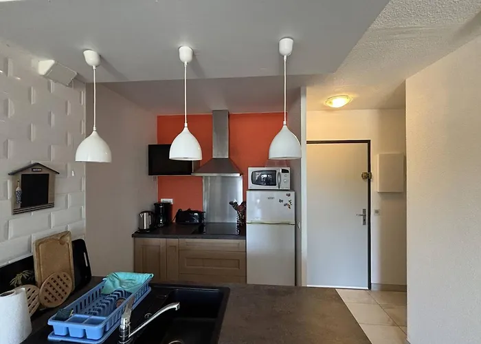Climatise A Avec Parking - 4 Couchages - Fr-1-388-52 Διαμέρισμα Argelès-sur-Mer